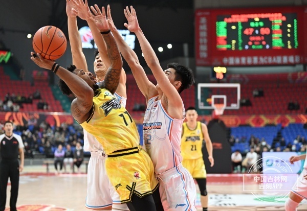 东北虎队主场大胜,豪取连胜 东北虎队主场大胜,豪取连胜