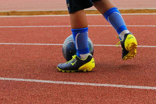 B体育体育亚洲官网-帕尔梅拉斯冲击季军，年轻球员表现亮眼