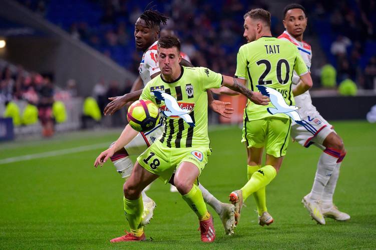 里昂主场战胜尼斯,继续保持不败 里昂主场战胜尼斯,继续保持不败